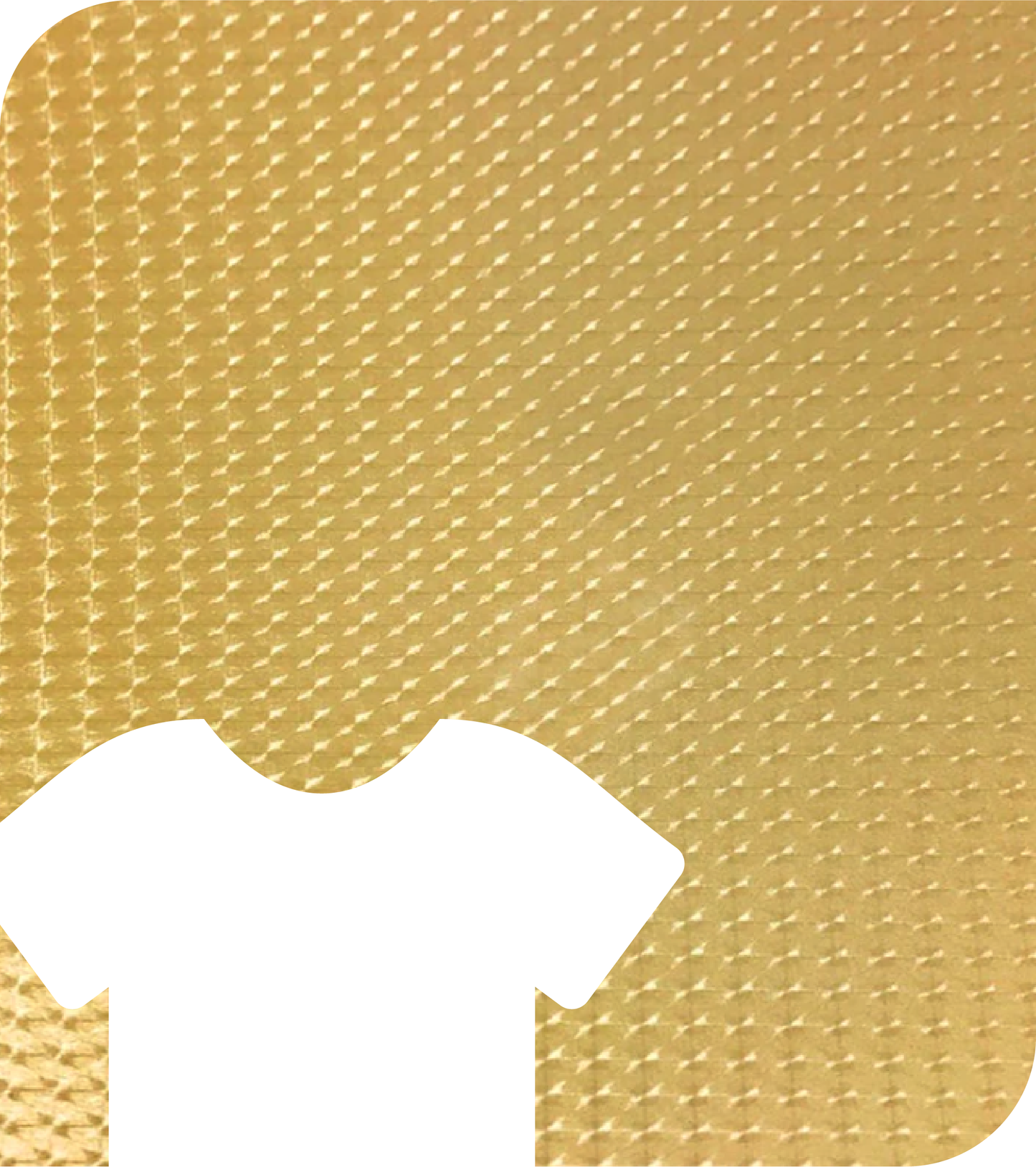 Electric Heat Transfer (HTV/Iron-on)