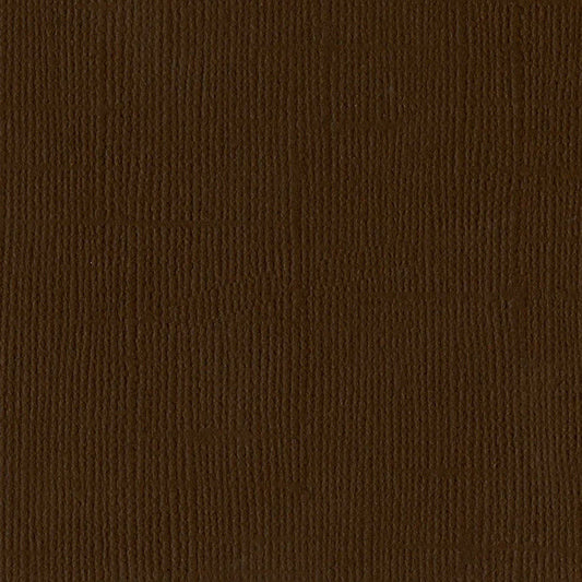 Bazzill Cardstock - Chocolate