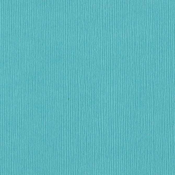 Bazzill Cardstock - Fiji