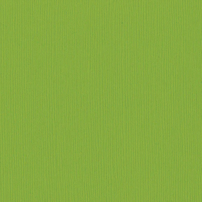 Bazzill Cardstock - Intense Kiwi