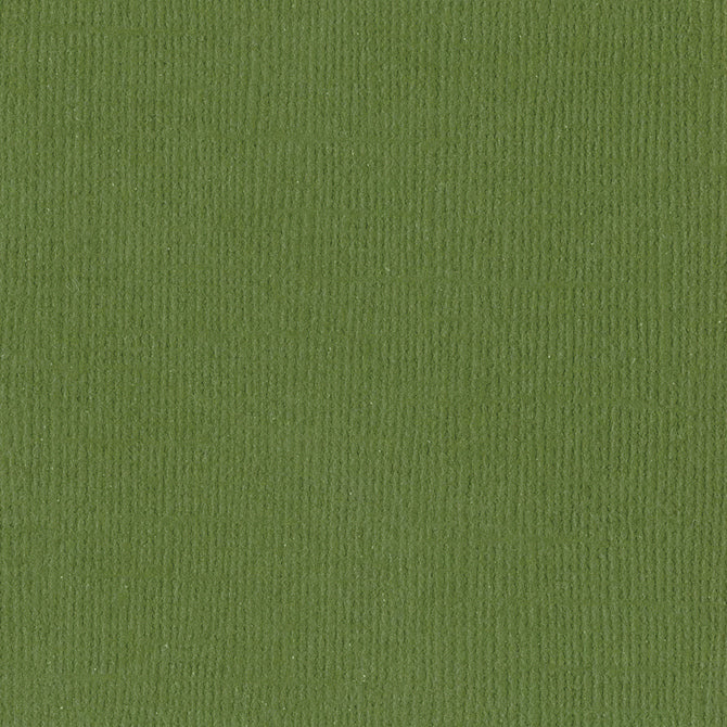 Bazzill Cardstock - Classic Green