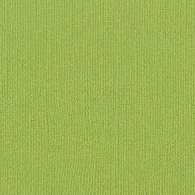 Bazzill Cardstock - Classic Green