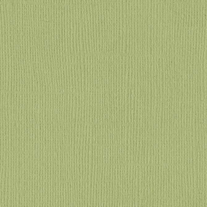 Bazzill Cardstock - Classic Green