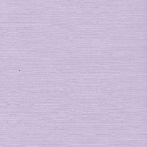 Bazzill Cardstock - Purple Palisades