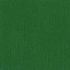 Bazzill Cardstock - Classic Green